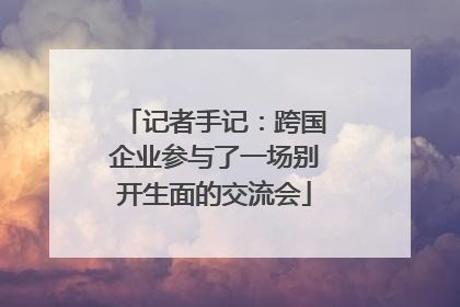 记者手记：跨国企业参与了一场别开生面的交流会