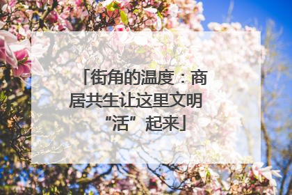 街角的温度：商居共生让这里文明“活”起来