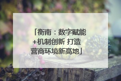 衡南：数字赋能+机制创新 打造营商环境新高地