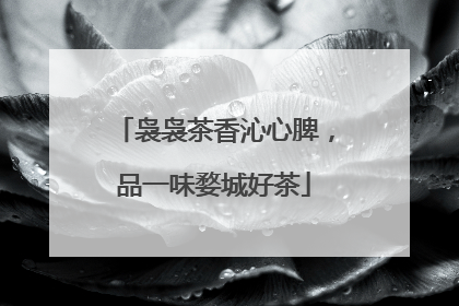 袅袅茶香沁心脾，品一味婺城好茶