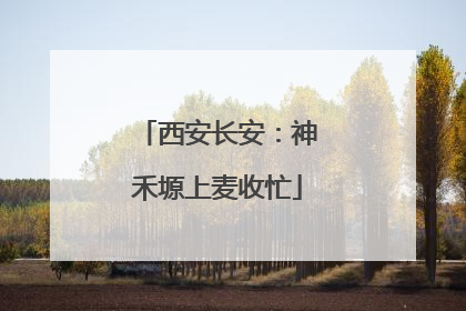 西安长安：神禾塬上麦收忙