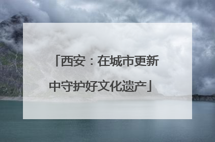 西安：在城市更新中守护好文化遗产
