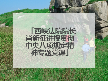 西峡法院院长肖新征讲授贯彻中央八项规定精神专题党课