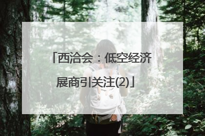 西洽会：低空经济展商引关注(2)