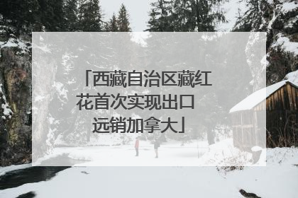西藏自治区藏红花首次实现出口 远销加拿大