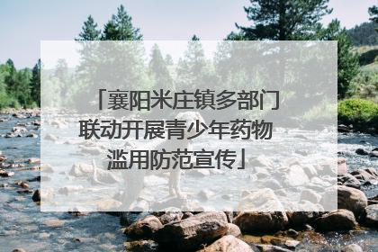 襄阳米庄镇多部门联动开展青少年药物滥用防范宣传