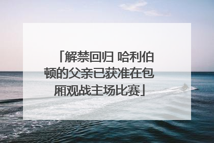 解禁回归 哈利伯顿的父亲已获准在包厢观战主场比赛