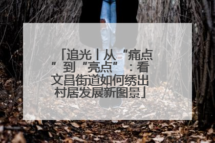 追光丨从“痛点”到“亮点”：看文昌街道如何绣出村居发展新图景