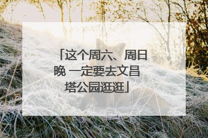 这个周六、周日晚 一定要去文昌塔公园逛逛