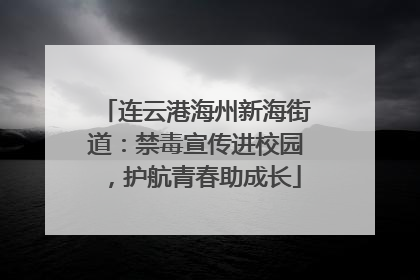 连云港海州新海街道：禁毒宣传进校园，护航青春助成长