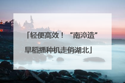 轻便高效！“南漳造”旱稻播种机走俏湖北
