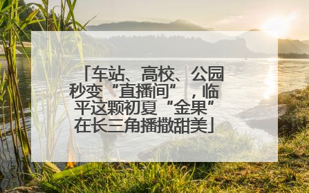 车站、高校、公园秒变“直播间”，临平这颗初夏“金果”在长三角播撒甜美