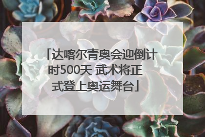 达喀尔青奥会迎倒计时500天 武术将正式登上奥运舞台