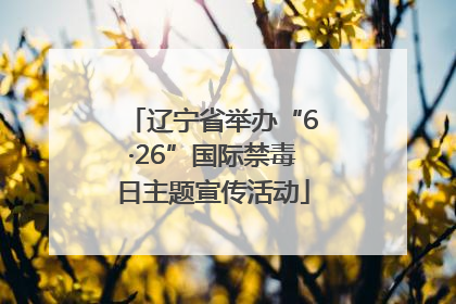 辽宁省举办“6·26”国际禁毒日主题宣传活动