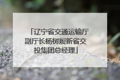辽宁省交通运输厅副厅长杨树履新省交投集团总经理