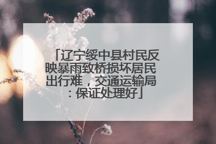 辽宁绥中县村民反映暴雨致桥损坏居民出行难，交通运输局：保证处理好