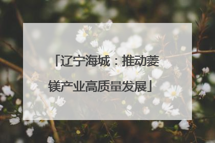 辽宁海城：推动菱镁产业高质量发展