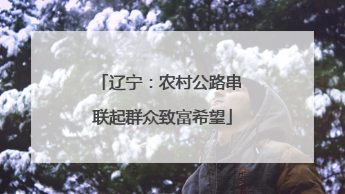 辽宁：农村公路串联起群众致富希望