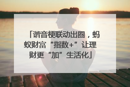 谐音梗联动出圈，蚂蚁财富“指数+”让理财更“加”生活化
