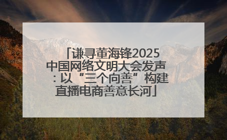 谦寻董海锋2025中国网络文明大会发声：以“三个向善”构建直播电商善意长河