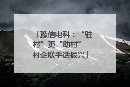 豫信电科：“驻村”更“助村” 村企联手话振兴