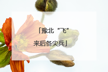 豫北“飞”来后备尖兵