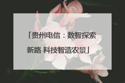 贵州电信：数智探索新路 科技智造农景