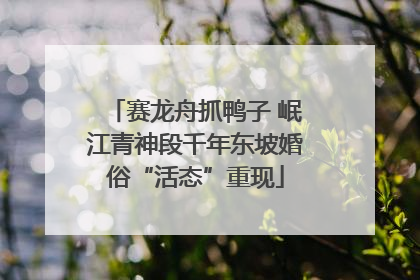 赛龙舟抓鸭子 岷江青神段千年东坡婚俗“活态”重现
