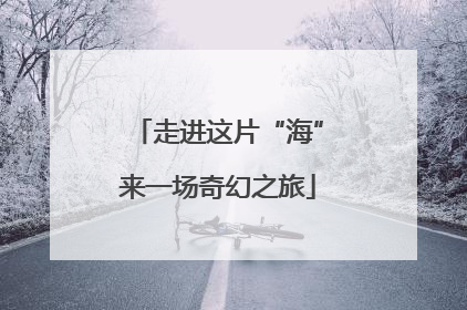 走进这片“海”来一场奇幻之旅
