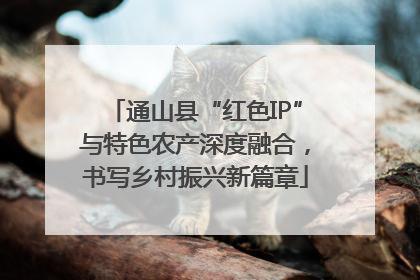 通山县“红色IP”与特色农产深度融合，书写乡村振兴新篇章