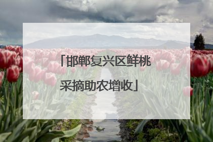 邯郸复兴区鲜桃采摘助农增收