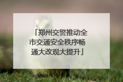 郑州交警推动全市交通安全秩序畅通大改观大提升