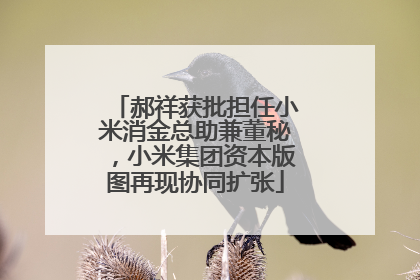 郝祥获批担任小米消金总助兼董秘，小米集团资本版图再现协同扩张