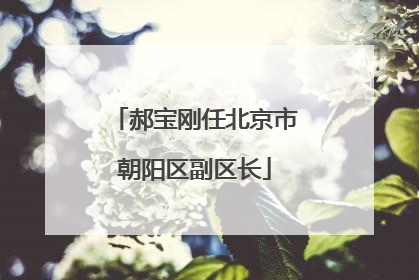 郝宝刚任北京市朝阳区副区长