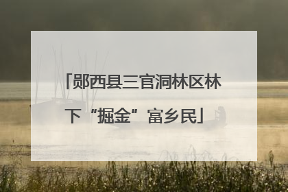郧西县三官洞林区林下“掘金”富乡民