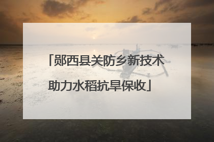 郧西县关防乡新技术助力水稻抗旱保收