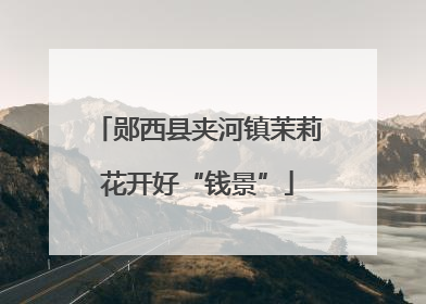 郧西县夹河镇茉莉花开好“钱景”