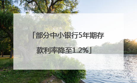 部分中小银行5年期存款利率降至1.2%