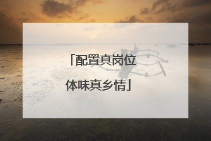 配置真岗位 体味真乡情