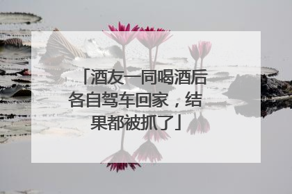 酒友一同喝酒后各自驾车回家，结果都被抓了