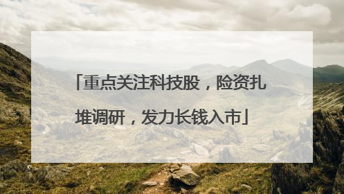 重点关注科技股，险资扎堆调研，发力长钱入市