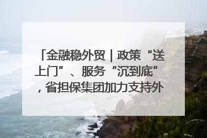 金融稳外贸｜政策“送上门”、服务“沉到底”，省担保集团加力支持外经贸高质量发展