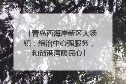 青岛西海岸新区大场镇：综治中心强服务，和谐港湾暖民心