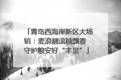 青岛西海岸新区大场镇：麦浪翻滚穗飘香 守护粮安好“丰景”
