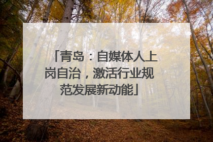 青岛：自媒体人上岗自治，激活行业规范发展新动能