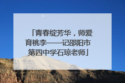 青春绽芳华，师爱育桃李——记邵阳市第四中学石琼老师