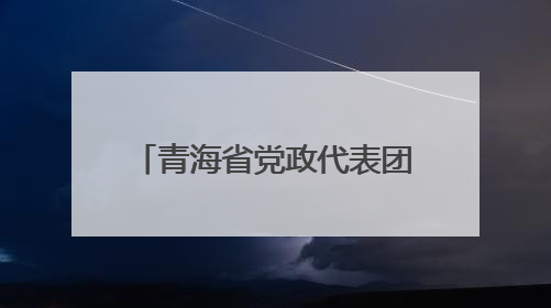 青海省党政代表团赴天津学习考察