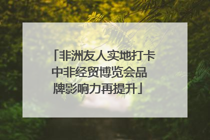非洲友人实地打卡 中非经贸博览会品牌影响力再提升
