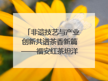 非遗技艺与产业创新共谱茶香新篇——福安红茶坦洋工夫专场推介会在京举办