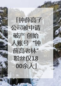 钟薛高子公司被申请破产 创始人账号“钟薛高老林”粉丝仅1800余人